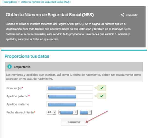 Consulta tu Número de Seguro Social