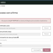 Declaracion El usuario (HAxxXX111xx7) no tiene privilegios para acceder al aplicativo