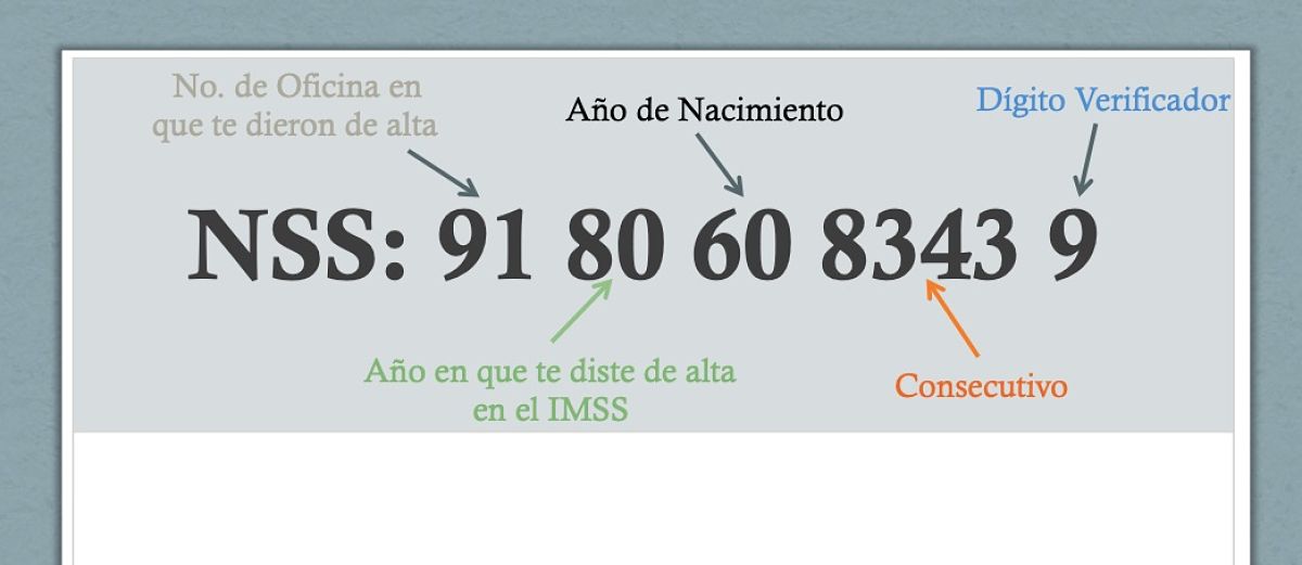Qué significan los 11 dígitos del NSS o Número de Seguro Social